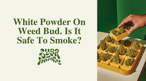 Is That White Powder on Your Weed Safe to Smoke? - SuperNatural