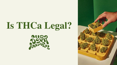Is THCa Legal? Federal Loopholes, State Bans, and Buyer Risks - SuperNatural