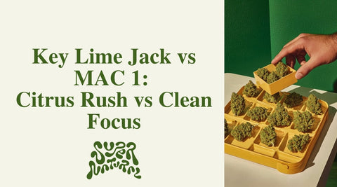 Key Lime Jack vs MAC 1: Citrus Lift or Creamy Calm? - SuperNatural