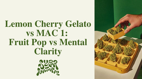 Lemon Cherry Gelato vs MAC 1: Sweet Melt or Creamy Clarity? - SuperNatural