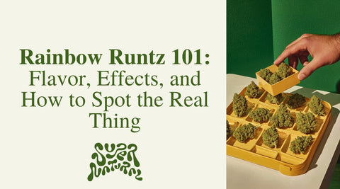 Rainbow Runtz 101: Flavor, Effects & How to Spot the Real Deal - SuperNatural