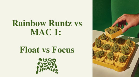 Rainbow Runtz vs MAC 1: Heavy Candy High or Smooth Clarity? - SuperNatural