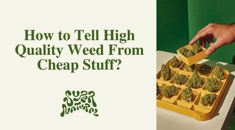 What High Quality Weed Looks Like and How to Spot It - SuperNatural