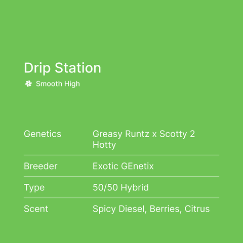 Drip Station THCa Flower - SuperNatural