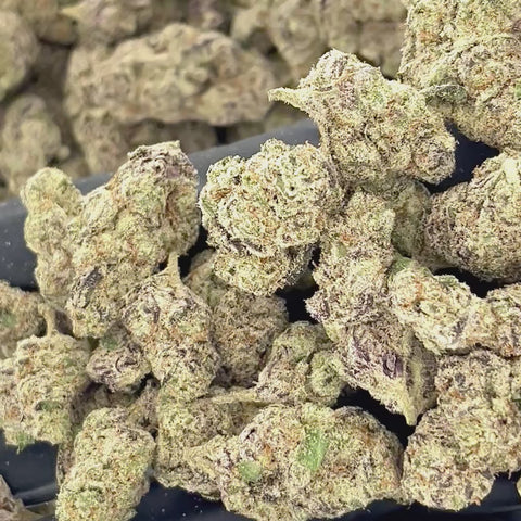 Gelato Cream THCa Flower