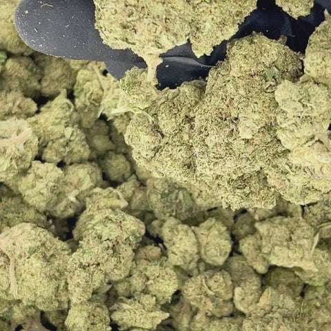 Key Lime Jack THCa Flower