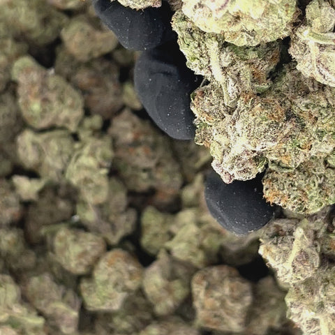 Udder Madness THCa Flower
