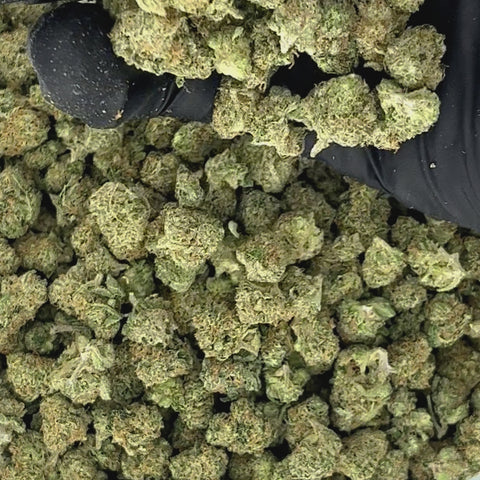 Tropical Runtz Smalls THCa Flower