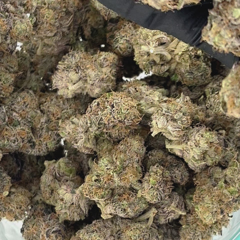 Rancid Rainbow THCa Flower