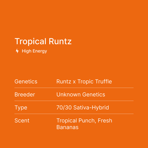 Tropical Runtz Smalls THCa Flower - SuperNatural