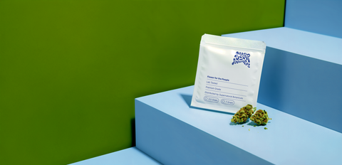 The New Standard
in Cannabis