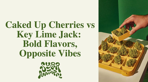 Caked Up Cherries vs Key Lime Jack: Calm vs Citrus Buzz - SuperNatural