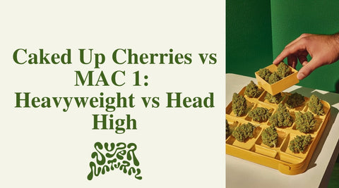 Caked Up Cherries vs MAC 1: Cherry Cream vs Citrus Funk - SuperNatural