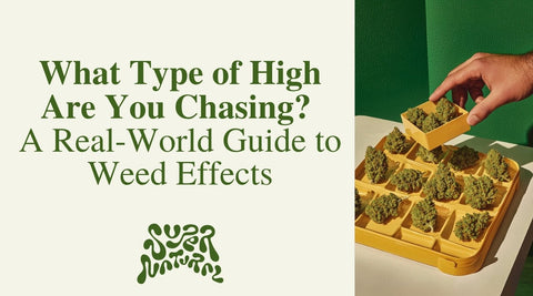 Different Types of High from Cannabis Explained - SuperNatural