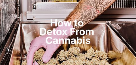 Taking a Tolerance Break: Guide To Detoxing From Cannabis - SuperNatural