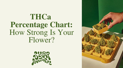 THCa Percentage Chart: Decode Weed Strength by Numbers - SuperNatural