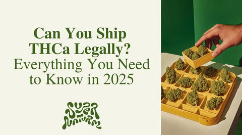 THCa Shipping Guide 2025: What’s Legal and What Gets Seized - SuperNatural