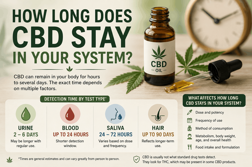 How Long Does CBD Stay in Your System